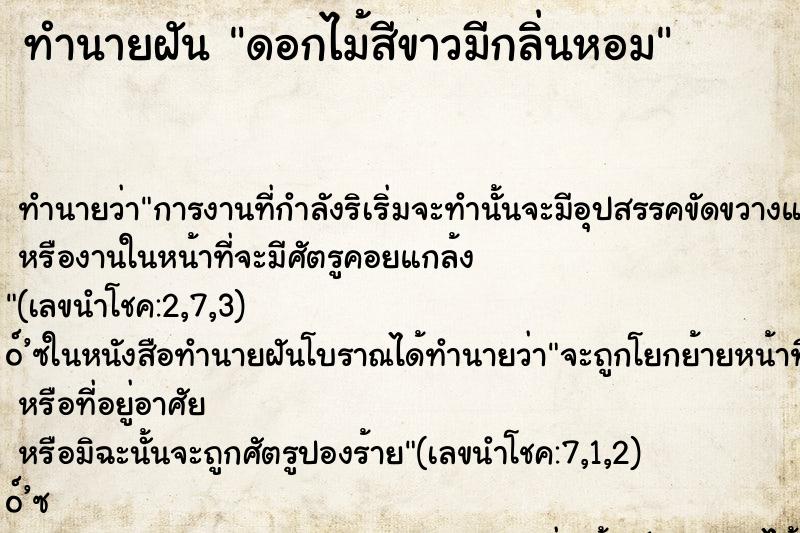 ทำนายฝันดอกไม้สีขาวมีกลิ่นหอม ทำนายฝันทำนายฝันดอกไม้สีขาวมีกลิ่นหอม