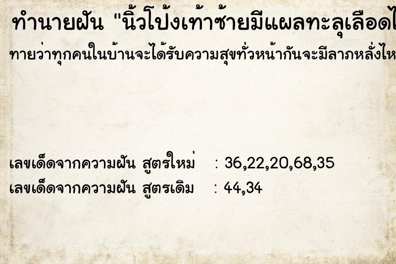 ทำนายฝันทำนายฝันนิ้วโป้งเท้าซ้ายมีแผลทะลุเลือดไหลไม่หยุด