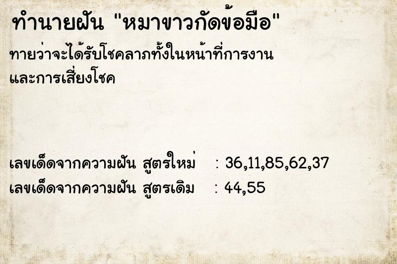 ทำนายฝันทำนายฝันหมาขาวกัดข้อมือ