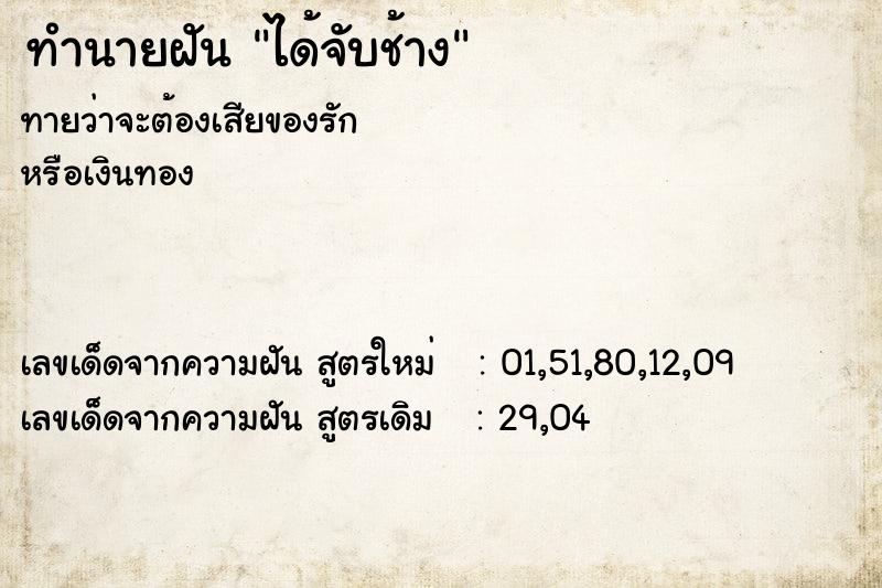 ทำนายฝันทำนายฝันได้จับช้าง