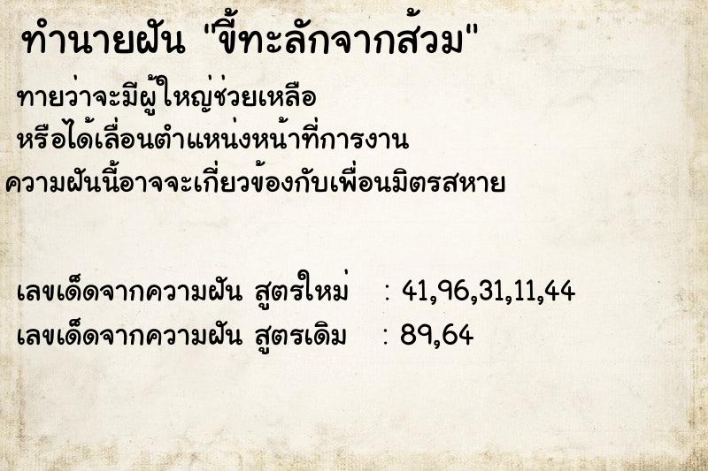 ทำนายฝันขี้ทะลักจากส้วม ทำนายฝันทำนายฝันขี้ทะลักจากส้วม