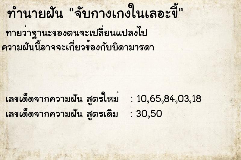 ทำนายฝันทำนายฝันจับกางเกงในเลอะขี้