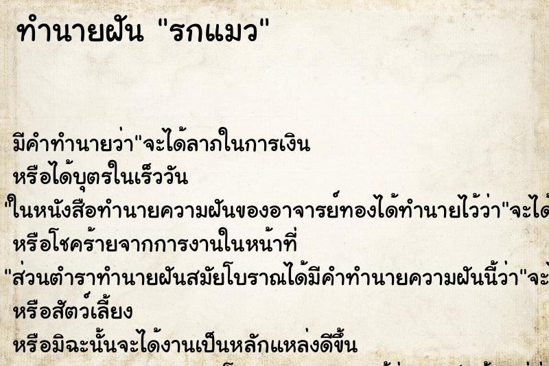 ทำนายฝัน รกแมว ตำราโบราณ แม่นที่สุดในโลก