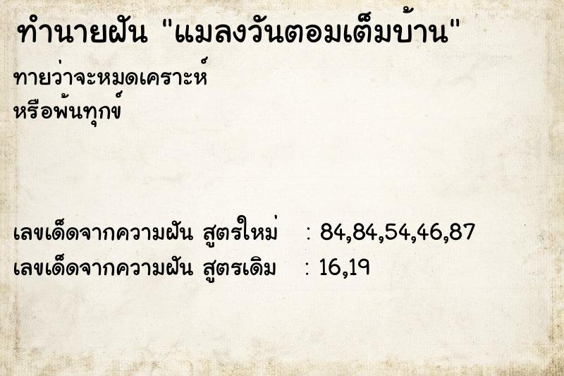 ทำนายฝันแมลงวันตอมเต็มบ้าน ทำนายฝันทำนายฝันแมลงวันตอมเต็มบ้าน
