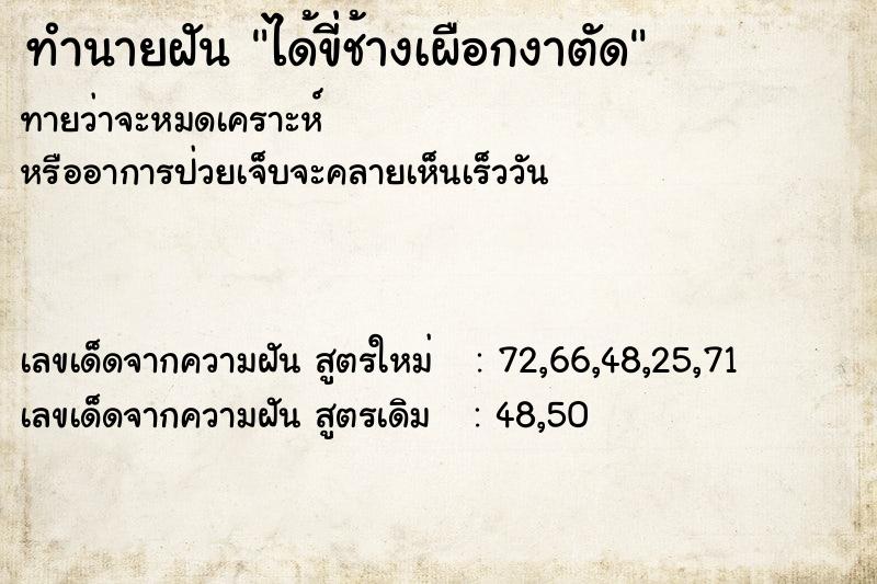 ทำนายฝันทำนายฝันได้ขี่ช้างเผือกงาตัด