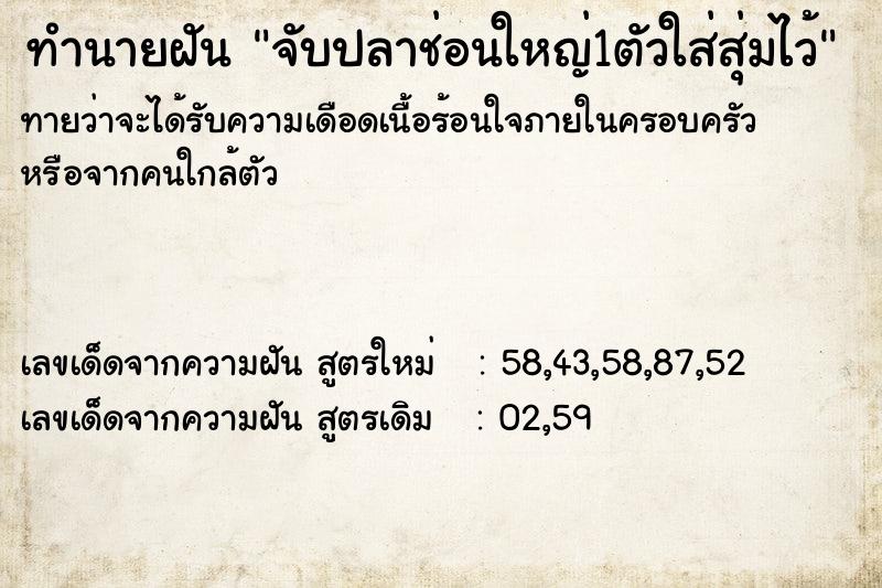 ทำนายฝันจับปลาช่อนใหญ่1ตัวใส่สุ่มไว้ ทำนายฝันทำนายฝันจับปลาช่อนใหญ่1ตัวใส่สุ่มไว้