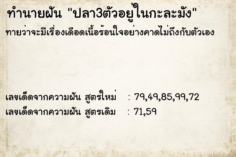 ทำนายฝันทำนายฝันปลา3ตัวอยู่ในกะละมัง