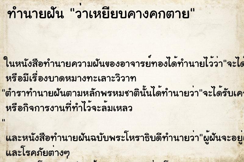 ทำนายฝัน ว่าเหยียบคางคกตาย ทำนายฝัน ว่าเหยียบคางคกตาย
