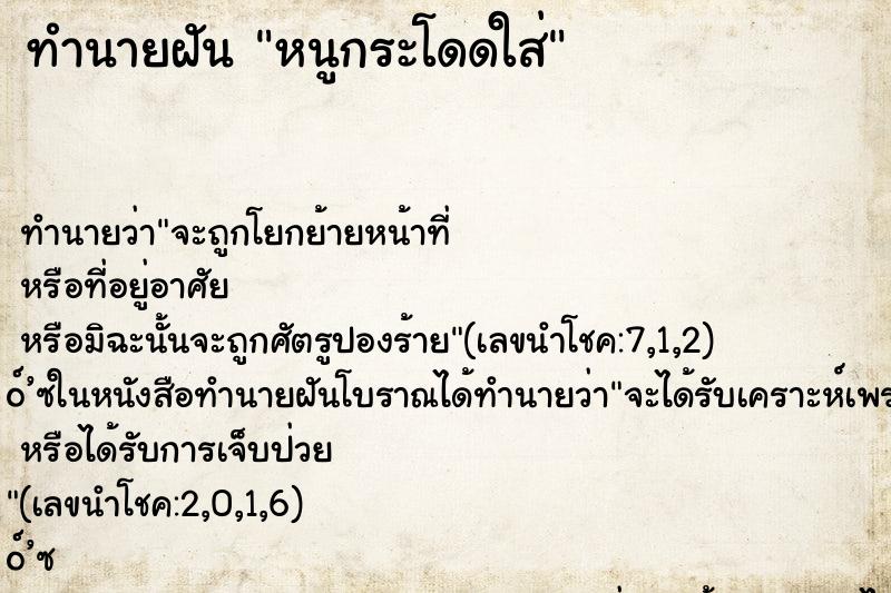 ทำนายฝัน หนูกระโดดใส่