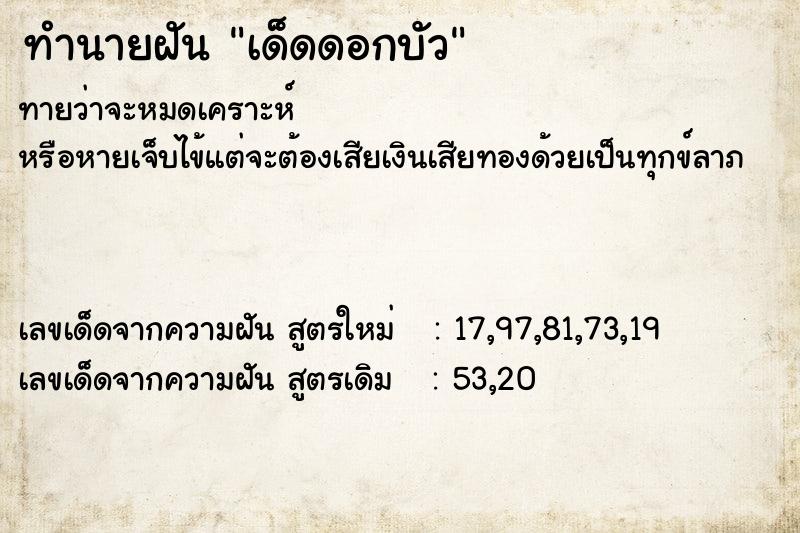 ทำนายฝัน เด็ดดอกบัว ทำนายฝัน เด็ดดอกบัว