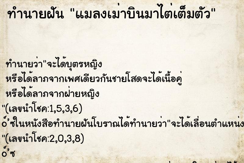 ทำนายฝันทำนายฝันแมลงเม่าบินมาไต่เต็มตัว