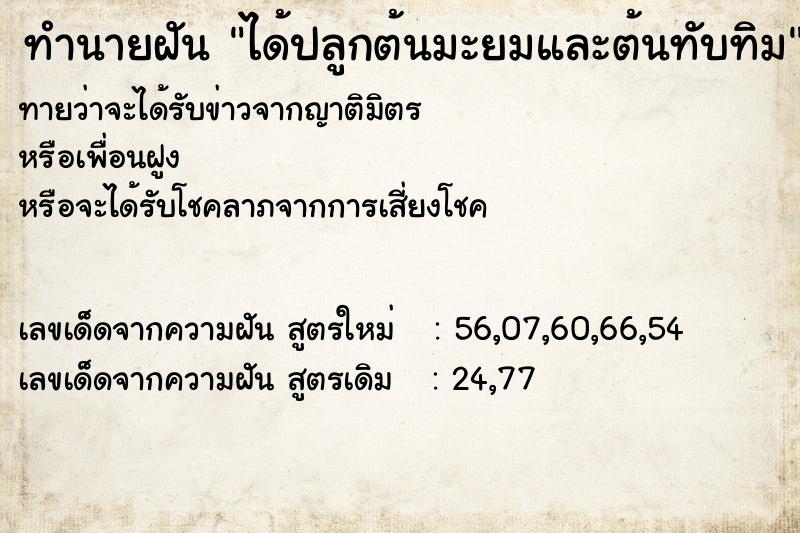 ทำนายฝันได้ปลูกต้นมะยมและต้นทับทิม ทำนายฝันทำนายฝันได้ปลูกต้นมะยมและต้นทับทิม