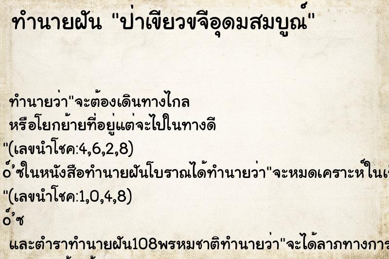 ทำนายฝัน ป่าเขียวขจีอุดมสมบูณ์ ทำนายฝัน ป่าเขียวขจีอุดมสมบูณ์