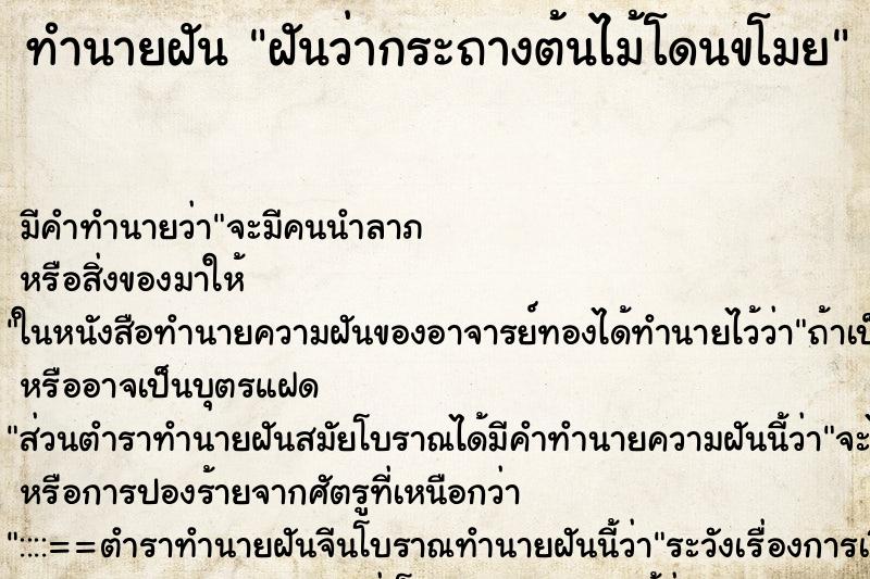 ทำนายฝันฝันว่ากระถางต้นไม้โดนขโมย ทำนายฝันทำนายฝันฝันว่ากระถางต้นไม้โดนขโมย