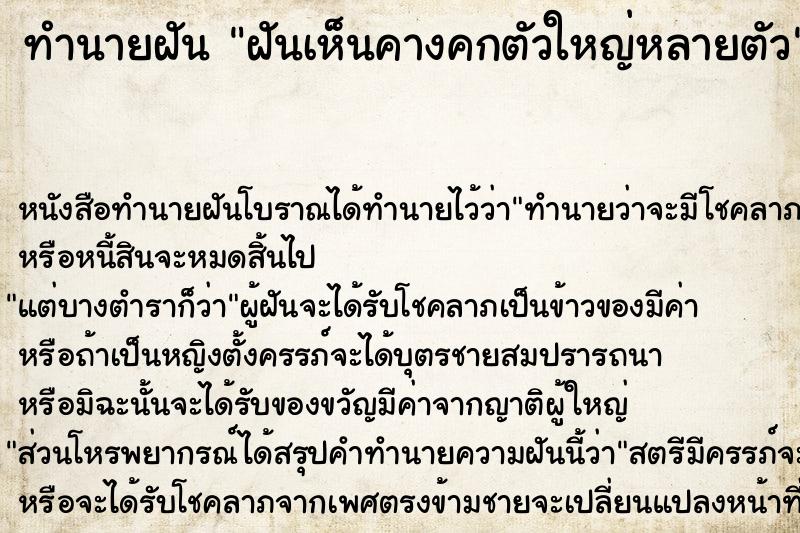 ทำนายฝัน ฝันเห็นคางคกตัวใหญ่หลายตัว ทำนายฝัน ฝันเห็นคางคกตัวใหญ่หลายตัว
