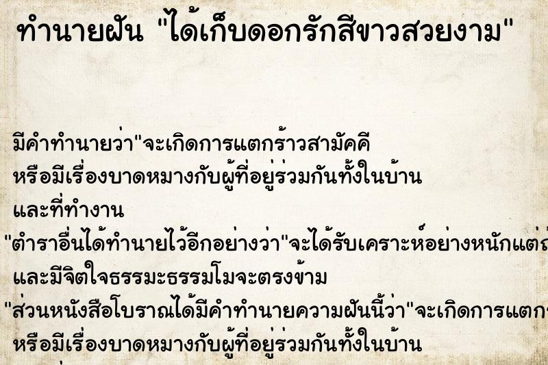 ทำนายฝัน ได้เก็บดอกรักสีขาวสวยงาม