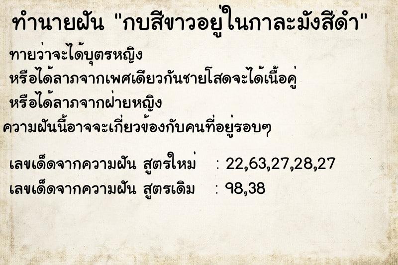 ทำนายฝันกบสีขาวอยู่ในกาละมังสีดำ ทำนายฝันทำนายฝันกบสีขาวอยู่ในกาละมังสีดำ