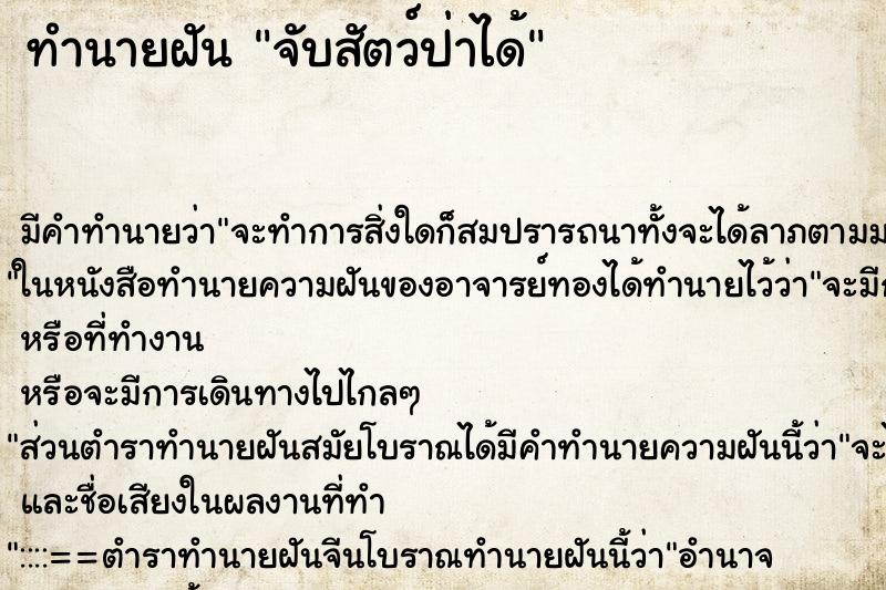 ทำนายฝัน จับสัตว์ป่าได้ ทำนายฝัน จับสัตว์ป่าได้