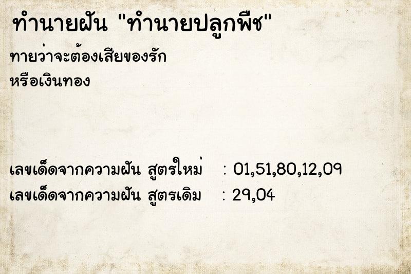 ทำนายฝันทำนายปลูกพืช ทำนายฝันทำนายฝันทำนายปลูกพืช