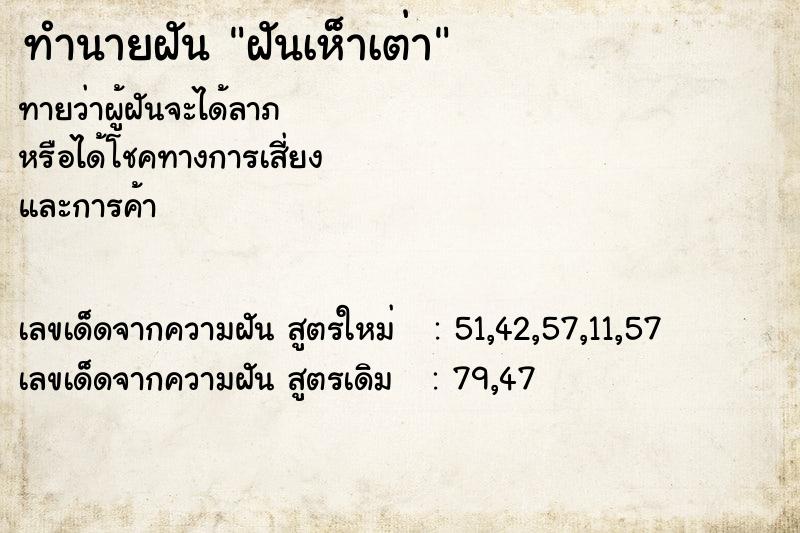 ทำนายฝันฝันเห็าเต่า ทำนายฝันทำนายฝันฝันเห็าเต่า