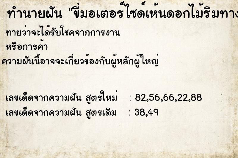 ทำนายฝันขี่มอเตอร์ไซด์เห้นดอกไม้ริมทางสวย ทำนายฝันทำนายฝันขี่มอเตอร์ไซด์เห้นดอกไม้ริมทางสวย