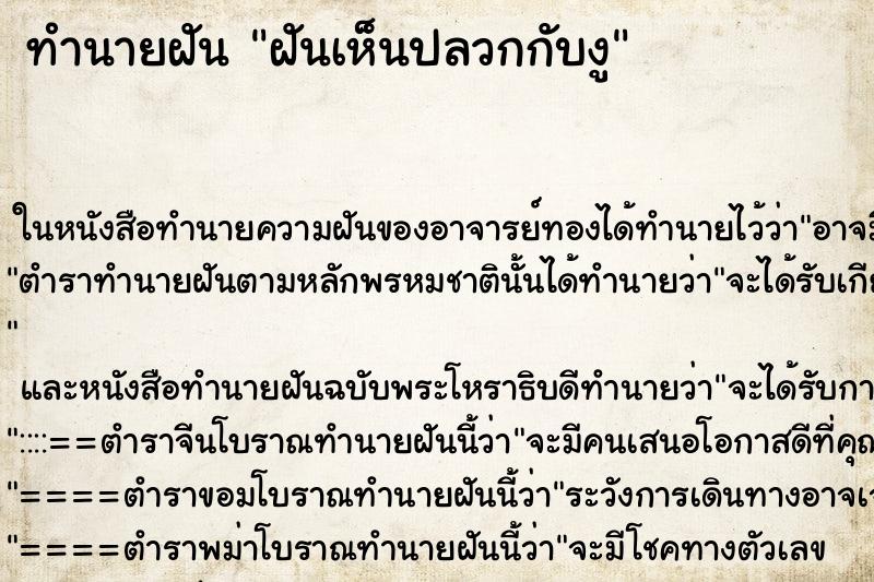 ทำนายฝันฝันเห็นปลวกกับงู ทำนายฝันทำนายฝันฝันเห็นปลวกกับงู