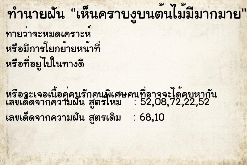 ทำนายฝันทำนายฝันเห็นคราบงูบนต้นไม้มีมากมาย