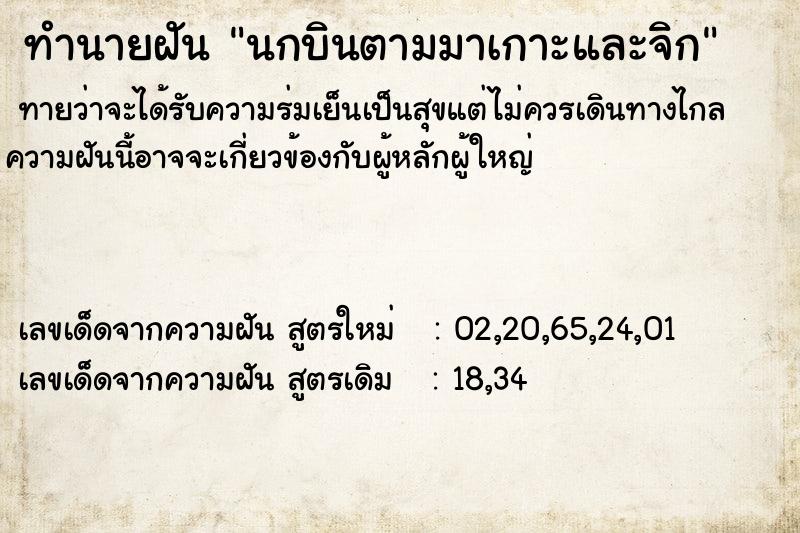 ทำนายฝัน นกบินตามมาเกาะและจิก ทำนายฝัน นกบินตามมาเกาะและจิก