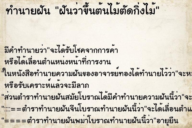 ทำนายฝันฝันว่าขึ้นต้นไม้ตัดกิ่งไม้ ทำนายฝันทำนายฝันฝันว่าขึ้นต้นไม้ตัดกิ่งไม้