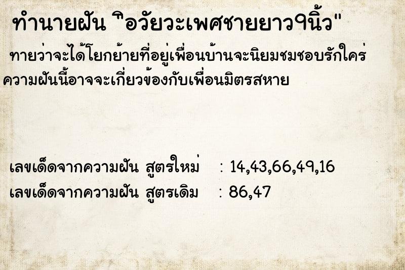 ทำนายฝันทำนายฝันิอวัยวะเพศชายยาว9นิ้ว