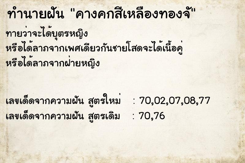 ทำนายฝัน คางคกสีเหลืองทองจั ทำนายฝัน คางคกสีเหลืองทองจั