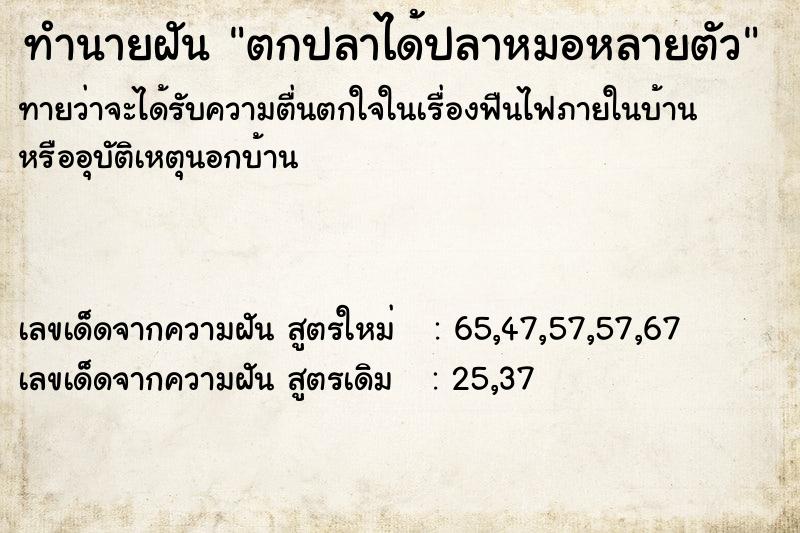 ทำนายฝันตกปลาได้ปลาหมอหลายตัว ทำนายฝันทำนายฝันตกปลาได้ปลาหมอหลายตัว