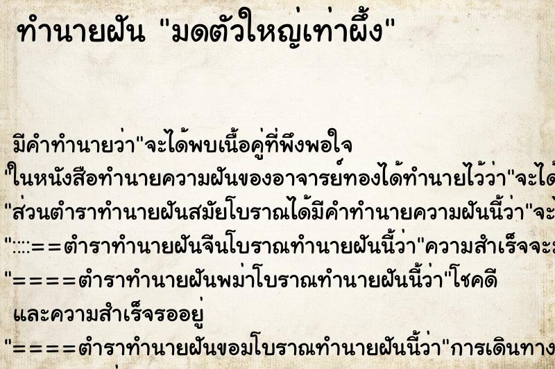 ทำนายฝันมดตัวใหญ่เท่าผึ้ง ทำนายฝันทำนายฝันมดตัวใหญ่เท่าผึ้ง