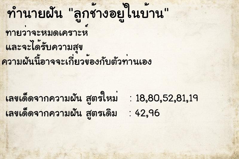 ทำนายฝันลูกช้างอยู่ในบ้าน ทำนายฝันทำนายฝันลูกช้างอยู่ในบ้าน