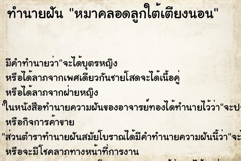 ทำนายฝัน หมาคลอดลูกใต้เตียงนอน ทำนายฝัน หมาคลอดลูกใต้เตียงนอน