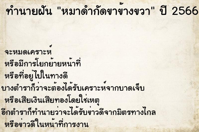ทำนายฝัน หมาดำกัดขาข้างขวา ทำนายฝัน หมาดำกัดขาข้างขวา