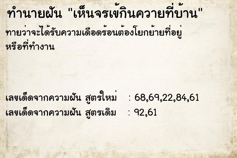 ทำนายฝันเห็นจรเข้กินควายที่บ้าน ทำนายฝันทำนายฝันเห็นจรเข้กินควายที่บ้าน