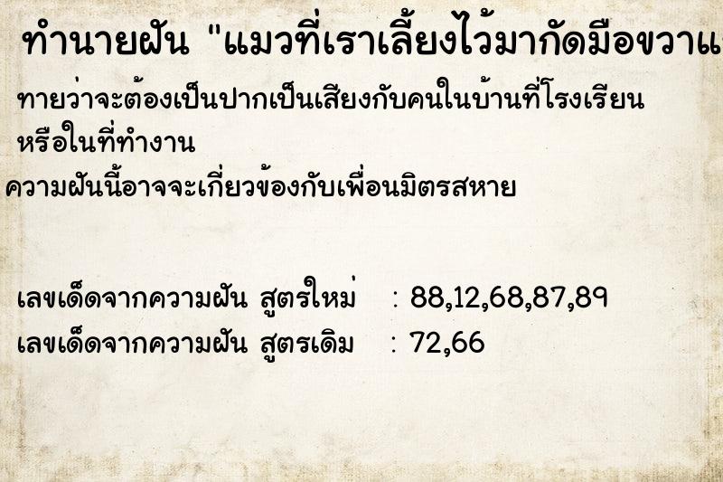 ทำนายฝันทำนายฝันแมวที่เราเลี้ยงไว้มากัดมือขวาแรงมาก