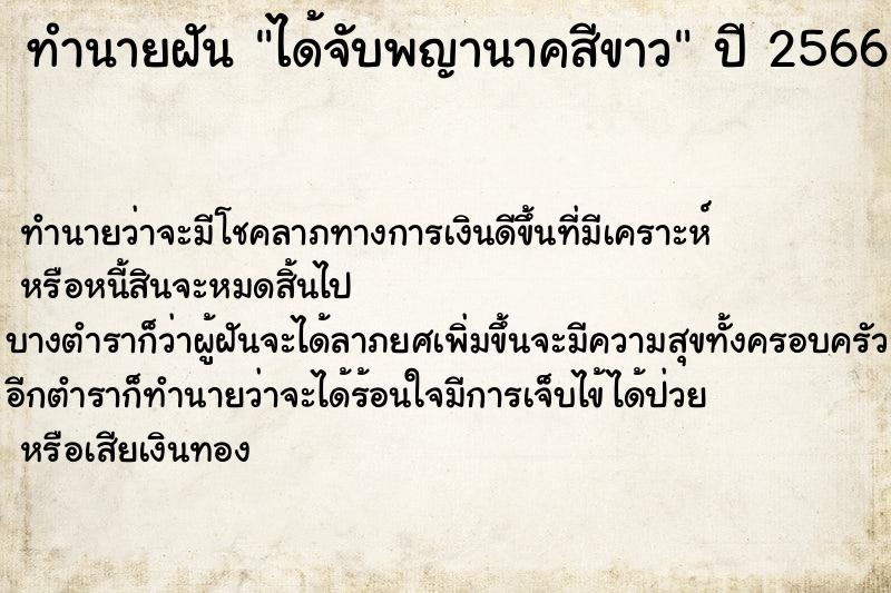 ทำนายฝัน ได้จับพญานาคสีขาว ทำนายฝัน ได้จับพญานาคสีขาว