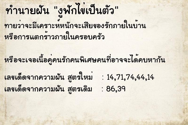 ทำนายฝันทำนายฝันงูฟักไข่เป็นตัว