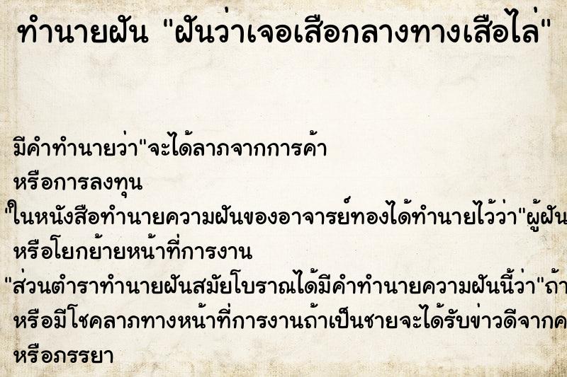 ทำนายฝันทำนายฝันฝันว่าเจอเสือกลางทางเสือไล่