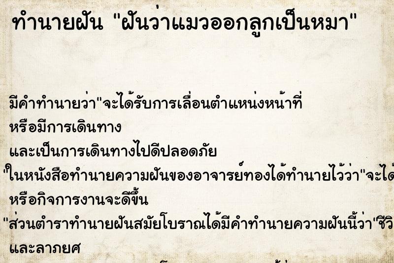 ทำนายฝัน ฝันว่าแมวออกลูกเป็นหมา ทำนายฝัน ฝันว่าแมวออกลูกเป็นหมา