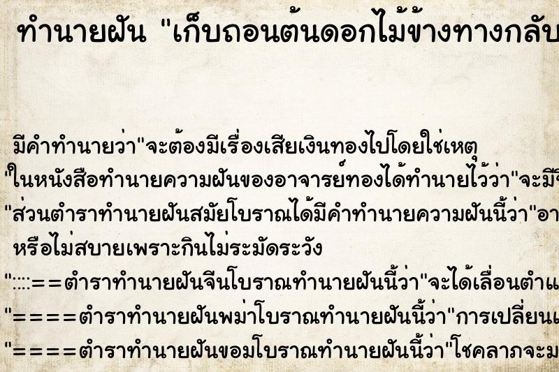 ทำนายฝันเก็บถอนต้นดอกไม้ข้างทางกลับบ้าน ทำนายฝันทำนายฝันเก็บถอนต้นดอกไม้ข้างทางกลับบ้าน
