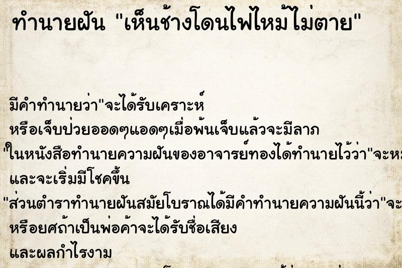ทำนายฝัน เห็นช้างโดนไฟไหม้ไม่ตาย ทำนายฝัน เห็นช้างโดนไฟไหม้ไม่ตาย