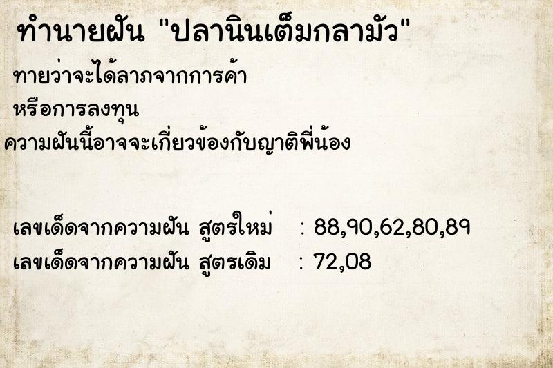 ทำนายฝันปลานินเต็มกลามัว ทำนายฝันทำนายฝันปลานินเต็มกลามัว
