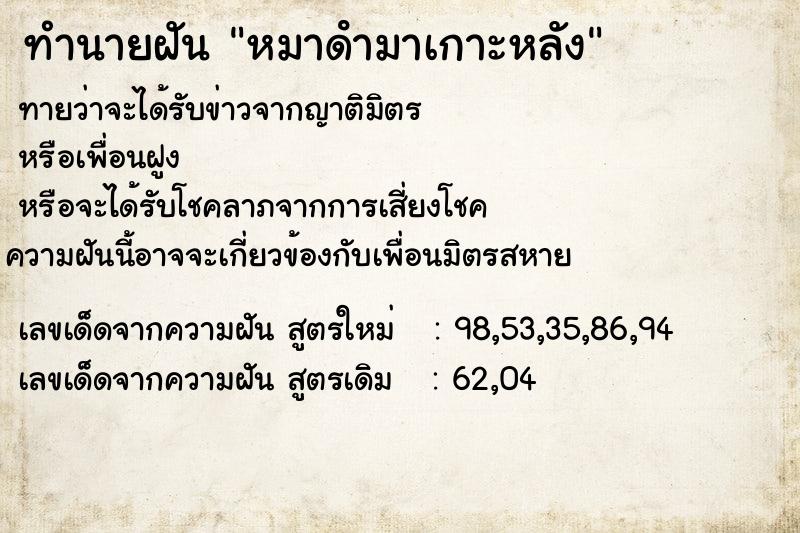 ทำนายฝันหมาดํามาเกาะหลัง ทำนายฝันทำนายฝันหมาดํามาเกาะหลัง