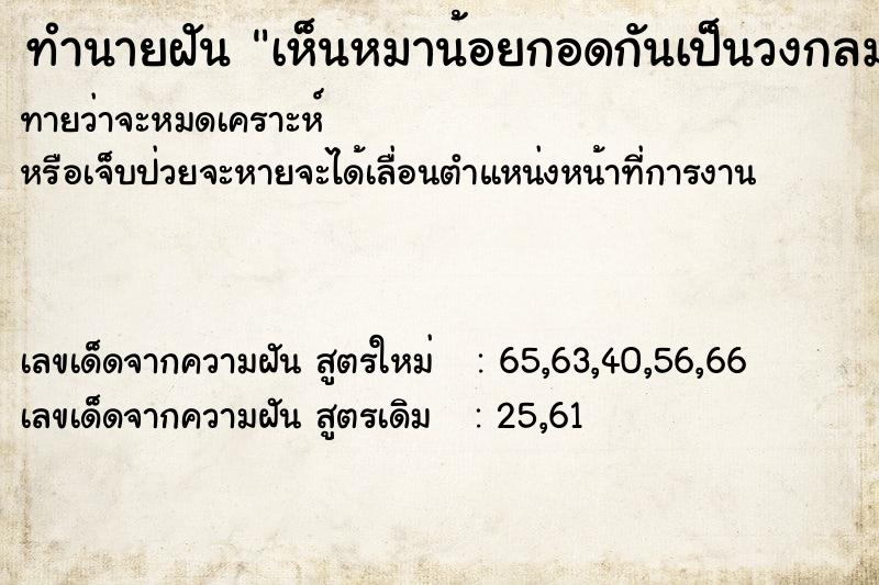ทำนายฝันเห็นหมาน้อยกอดกันเป็นวงกลม ทำนายฝันทำนายฝันเห็นหมาน้อยกอดกันเป็นวงกลม