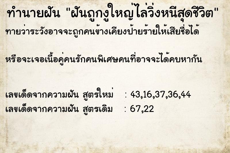 ทำนายฝันทำนายฝันฝันถูกงูใหญ่ไล่วิ่งหนีสุดชีวิต