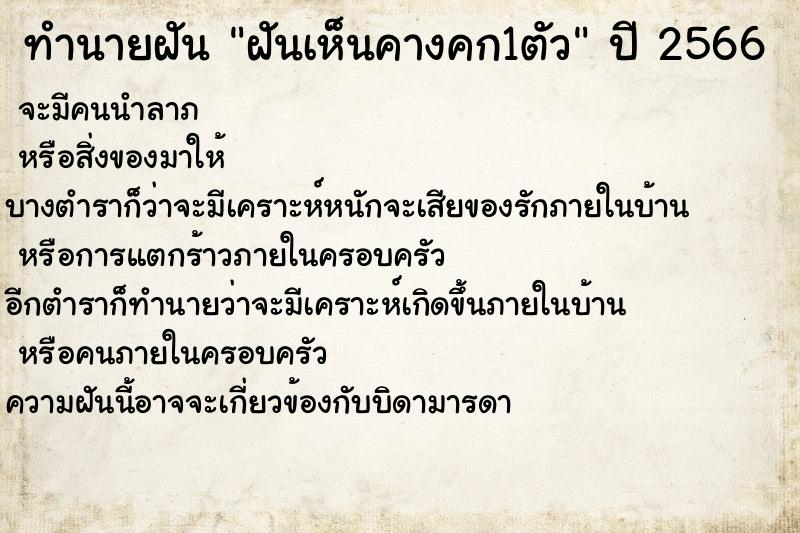 ทำนายฝันฝันเห็นคางคก1ตัว ทำนายฝันทำนายฝันฝันเห็นคางคก1ตัว