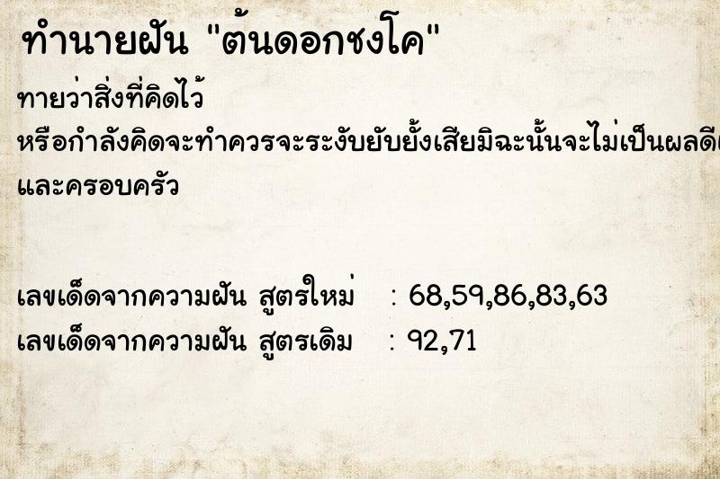 ทำนายฝัน ต้นดอกชงโค ตำราโบราณ แม่นที่สุดในโลก